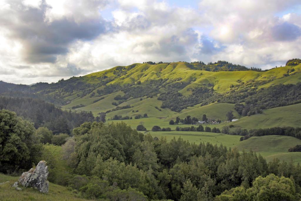 San Anselmo Inn Екстер'єр фото